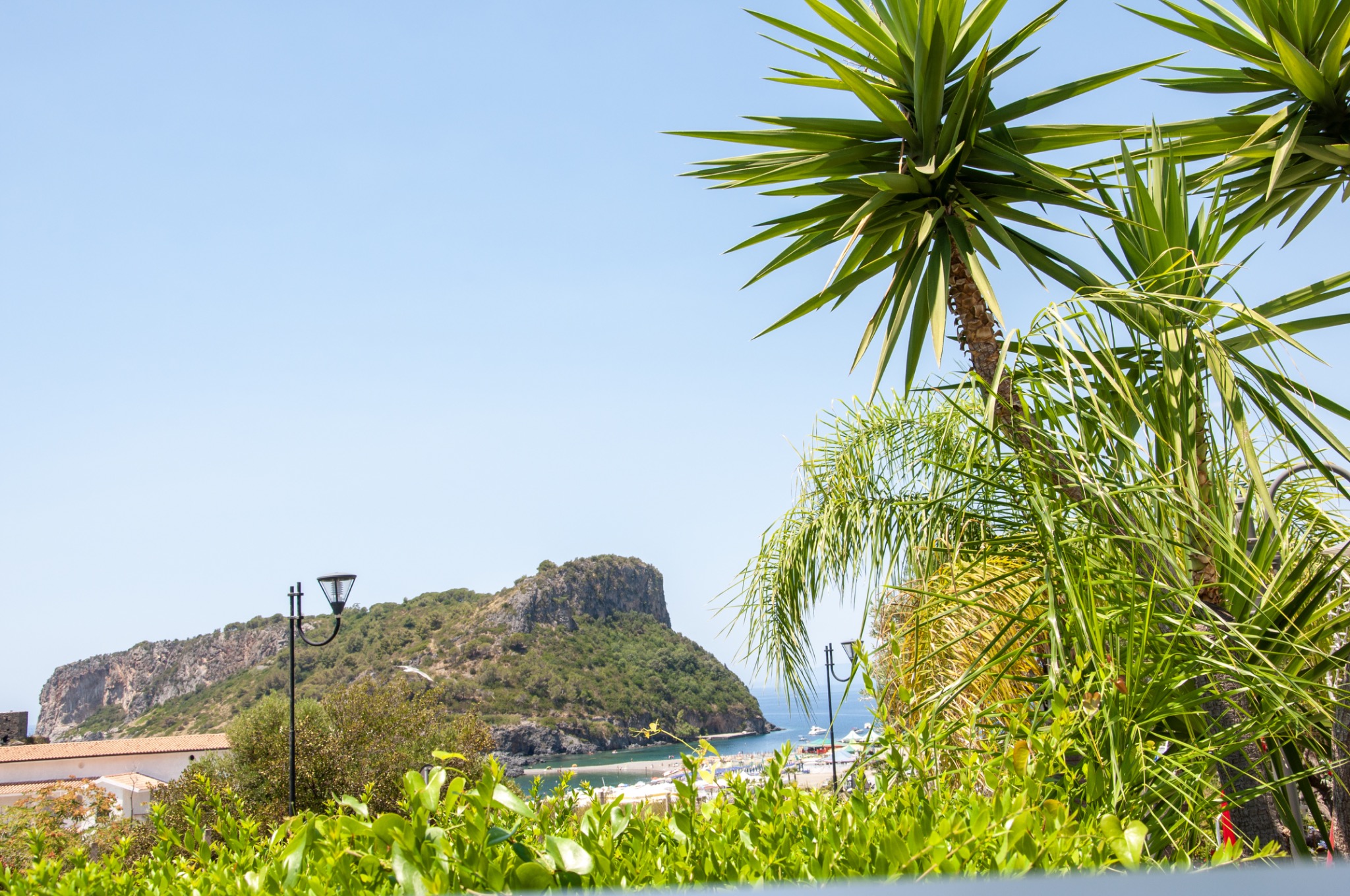 Vista con palme e mare a Praia a Mare